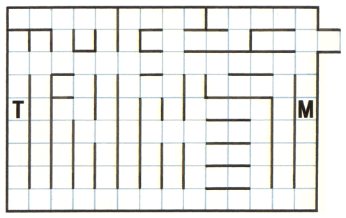 Theseus and the Minotaur Maze 14 by Robert Abbott
